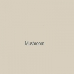 Akril Panel 6mm 2440mm X 1220mm Gloss Mushroom