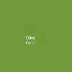 Akril Panel 6mm 2440mm X 1220mm Gloss Olive Grove