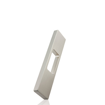 *#* Frost handle DETAIL10 128mm Brushed Nickel               Z393